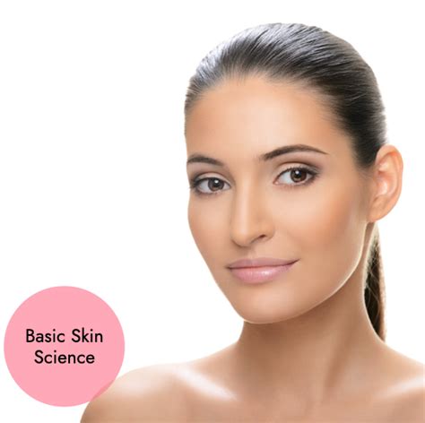 Basic Skin Science And Skincare E Course Cpd Junkie