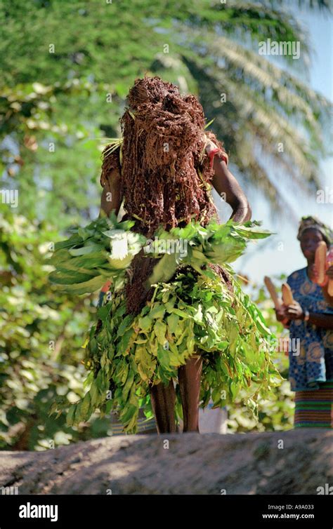 Traditional Dancer The Gambia West Africa Stock Photo Alamy
