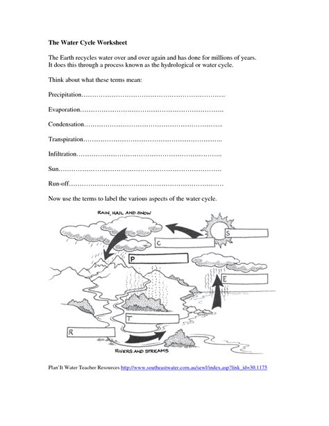 Search Results For Water Cycle Diagram Worksheet Blank Calendar 2015