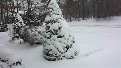 Blizzard Hercules Snow Totals 2014 Winter Storm Blankets Northeast