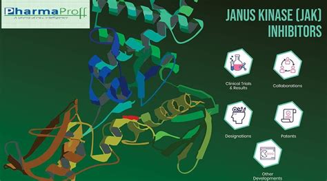 Janus Kinase Inhibitors Inhibitors Currently Exhibits A Proliferating