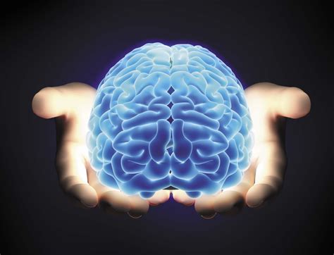 The Mind Versus The Brain Westfield Nj Patch