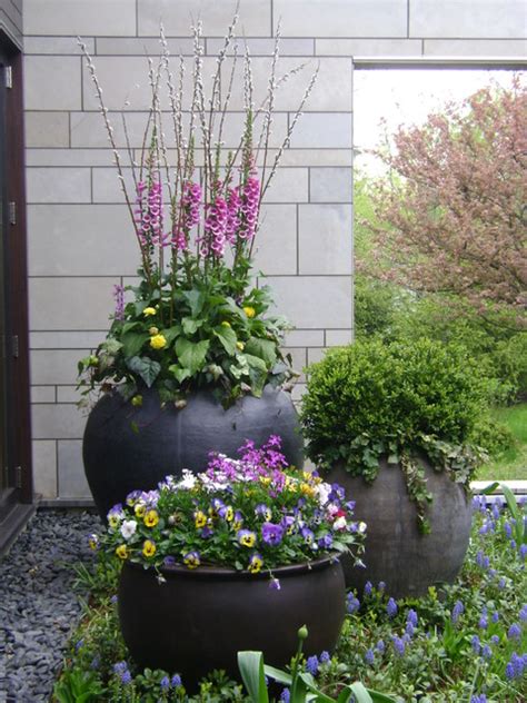 Spring Flower Containers And Annual Display Traditional