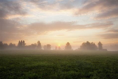 Misty Morning Sunrise At Meadow Photograph By Juhani Viitanen Fine