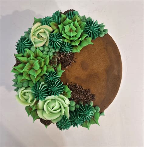 Succulent Cakes Sweet On Cup Cakes