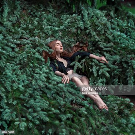 Woman Lying Down On Tree Bildbanksfoton Och Bilder Getty Images
