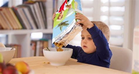 Learning about the availability will help you to add to your collection. ¿Qué cereales dar para desayunar a los niños? - Bekia Padres