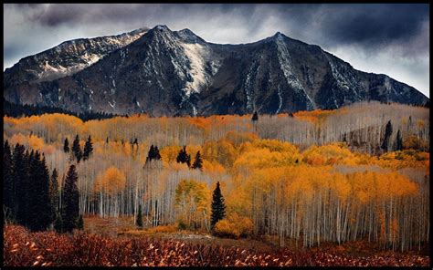 Kebler Pass Colorado In The Fall By ~kimjew On Deviantart Beautiful