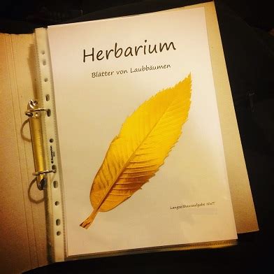 Hier findest du ein beispiel dafür: Herbarium Deckblatt Vorlage Zum Ausdrucken