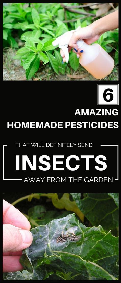 10 Natural Pesticides For Your Garden You Just Have To Try Natural