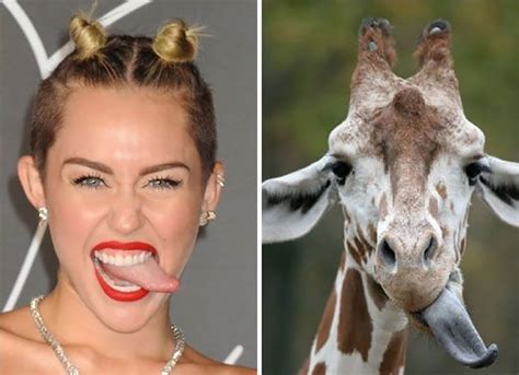 17 Best Images About Look Alikes On Pinterest Frances
