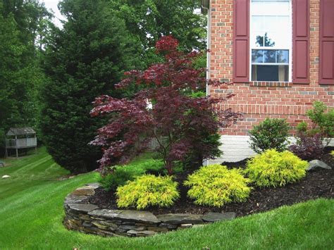 Landscape Ideas For Shady Front Of House Case Landscape Ideas For Fron