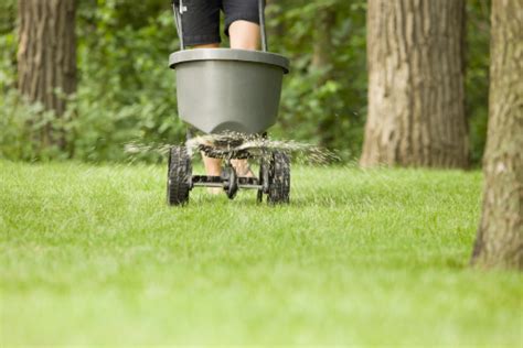 You can also calculate how much fertilizer you need to apply for. Fertilizer Spreader With Pellets Spraying On Grass Stock Photo & More Pictures of Applying - iStock