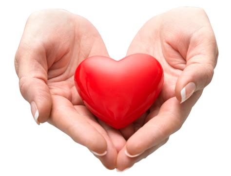 Caring hands offers over 30 years home care experience and are one of the principle providers of domiciliary care services across the midlands covering we provide a dedicated, professional and friendly service to those seeking care and support in their own homes to assist them to live safely and. El Shaddai Family Clinic LLC - Health Care Services ...