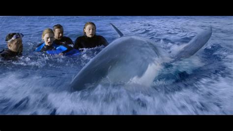 If you wish to support us please don't block our ads!! The Reef (2010) - Great White Shark - YouTube