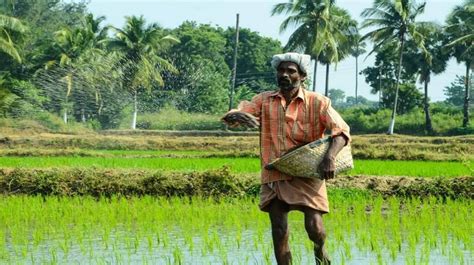 Kerala To Launch Value Added Agriculture Mission To Increase Farmers