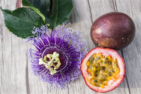 When Is Passion Fruit Ripe Top Tips