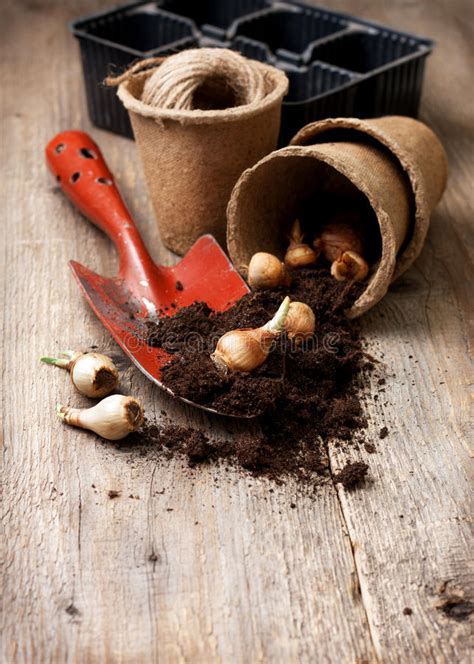 De Tuinhulpmiddelen Turfpotten Grond Planten De Bollen Voor Het