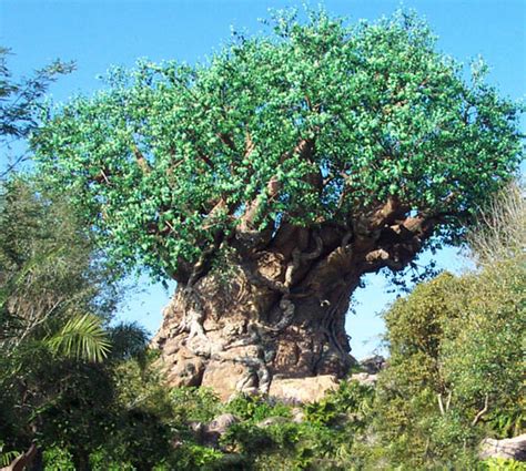 Disney Tree Of Life Wallpaper Wallpapersafari