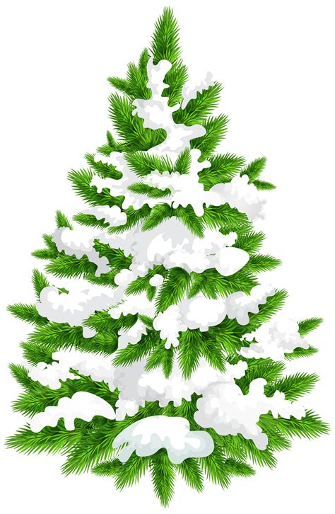 Snow Pine Tree Png Hd Png Pictures Vhvrs