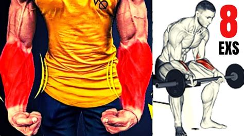 8 Best Exercises Forearms With Barbell Only Meilleurs Exercises