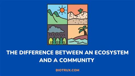 Ecosystem And Community Difference Biotrux