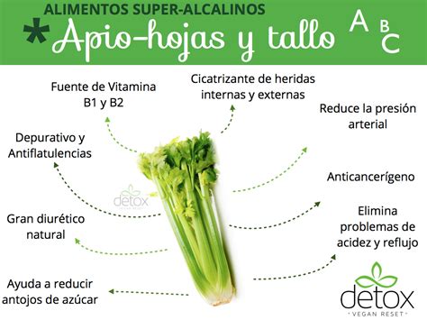 Beneficios Del Apio Nutricion Y Salud Consejos Recetas Para La Salud Apio Beneficios