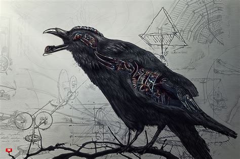 Dark Raven Wallpapers Top Những Hình Ảnh Đẹp