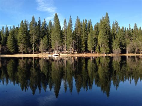 Maybe you would like to learn more about one of these? Lakemont Pines, Arnold, California. Xmas 2014. | Places to ...