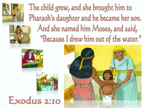What Does Exodus 210 Mean
