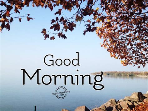 Best Good Morning Wishes Greeting Pictures Photos Pics 270
