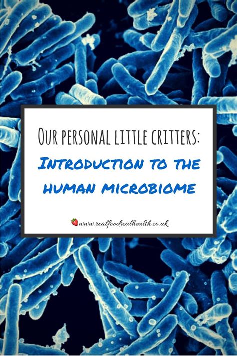 Introduction To The Human Microbiome Microbiome Health Articles Human