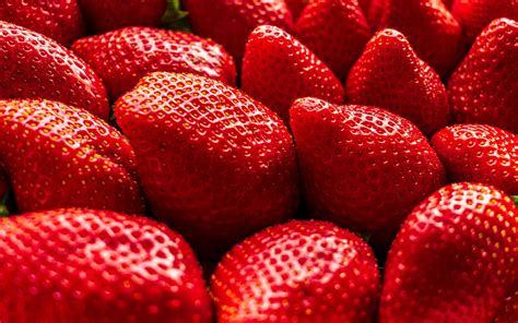 Download Wallpapers Strawberries Large Berries Background With