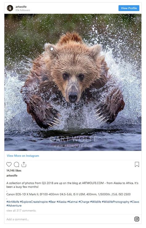 Top 12 Famous Wildlife Photographers Working Today