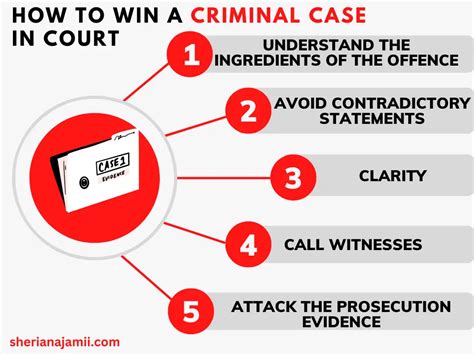 How To Win A Criminal Case In Court 2024 Guide Examples Sheria Na