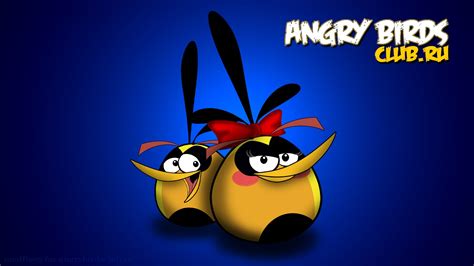 3d Hd Wallpapers Angry Birds Wallpapers