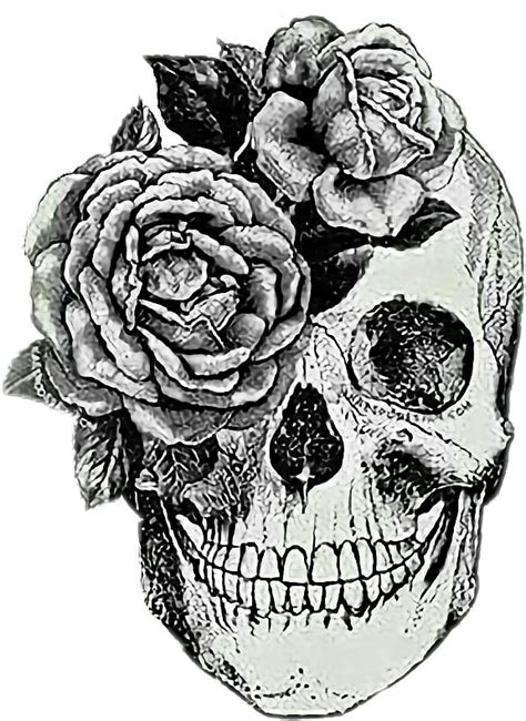 22 Skull Flower Drawings