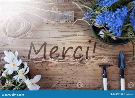 Sunny Spring Flowers French Text Merci Means Thank You Stock Image