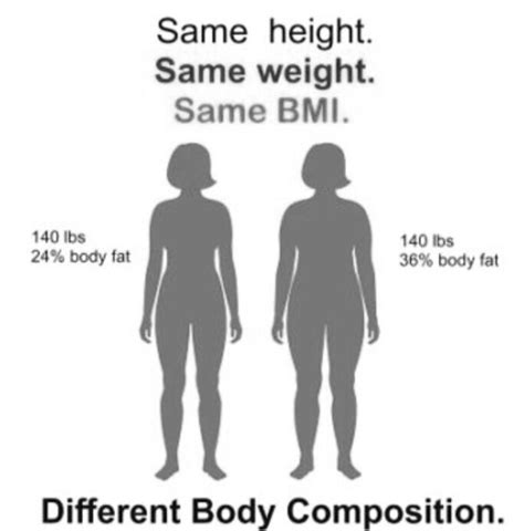 What Is The Ideal Body Fat Percentage Understand Your Body Composition Fitnescity Fitness