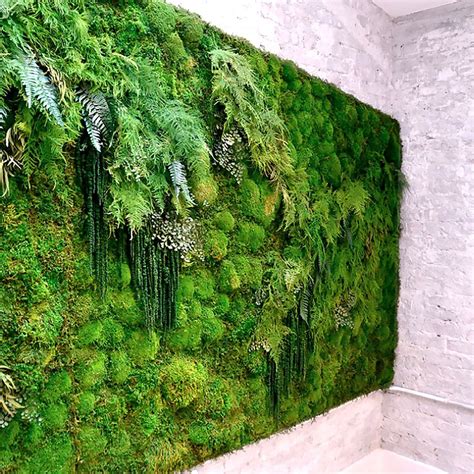Meditation Yoga Studio Green Wall By Artisan Moss Vertical Garden