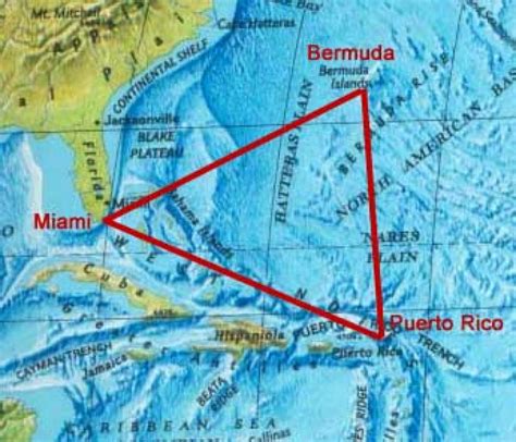 Eu Moda Bermuda Triangle Pictures