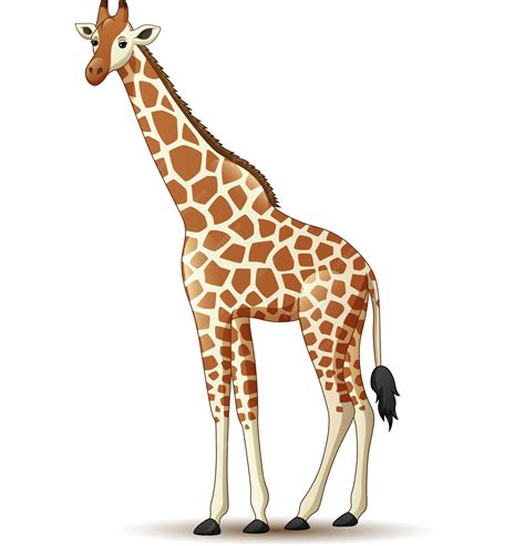 Premium Vector Cartoon Giraffe Isolated On White Background