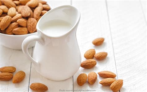 Interesting Facts About Almonds Just Fun Facts