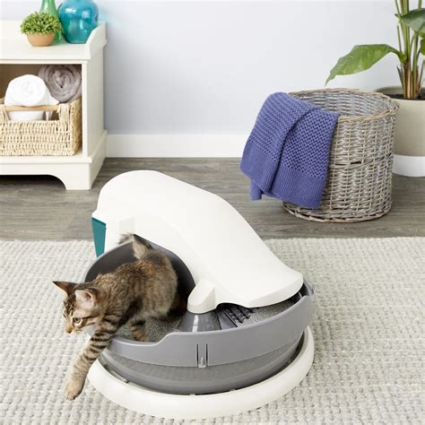 Best Automatic Cat Litter Box Reviews Of Self Cleaning Litter Boxes 2021