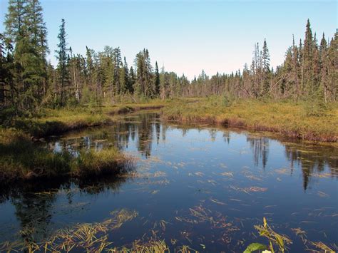 Tripadvisor has 869 reviews of whiteshell provincial park hotels, attractions, and restaurants making it your best whiteshell start planning for whiteshell provincial park. Whiteshell Provincial Park - Wilderness Inquiry