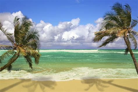 Tropical Beach Scenes Wallpaper 49 Images