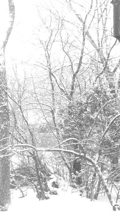 Whiteout Winter Scenes Scenery Winters