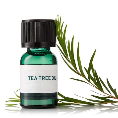 Tee Tree Oil