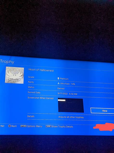 Finally Platinumed The Game Rhollowknight