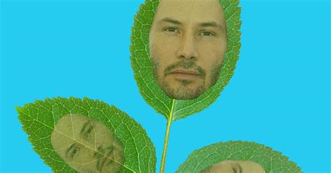keanu leaves imgur